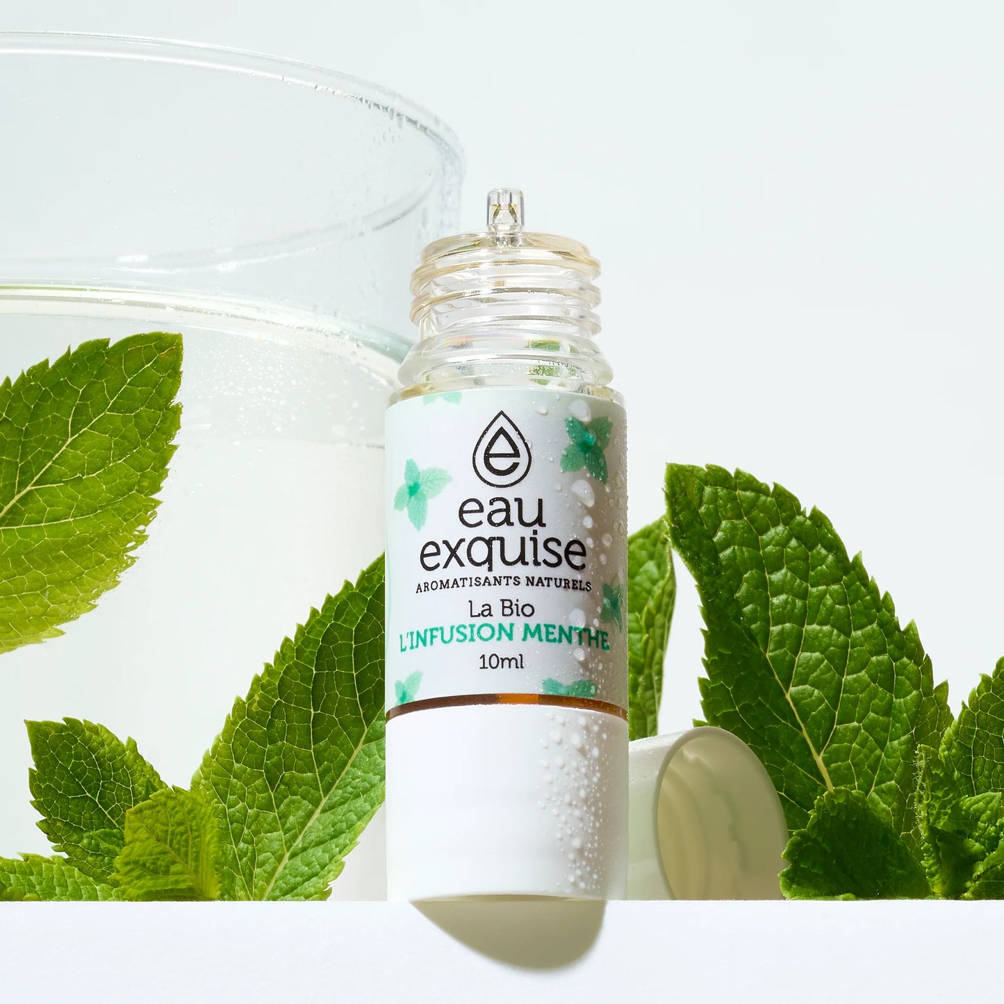 La BIO L'infusion Menthe - Eau Exquise