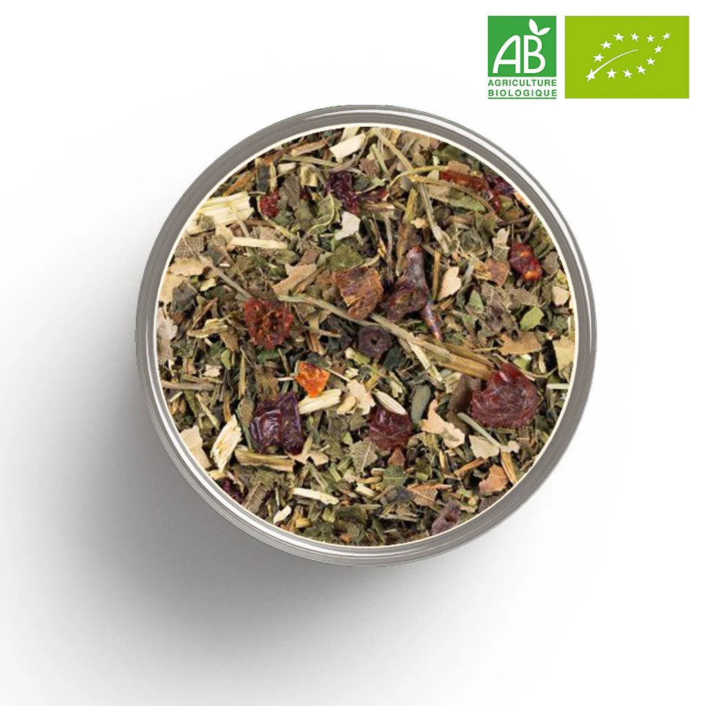 đż Tisane Buvez â Ăliminez â BIO - Lot de 10 sachets