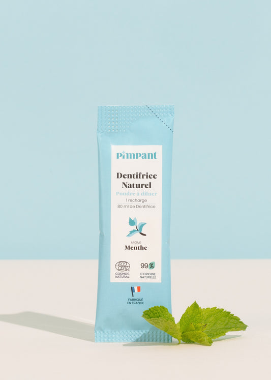 Recharge Dentifrice Menthe – Pimpant