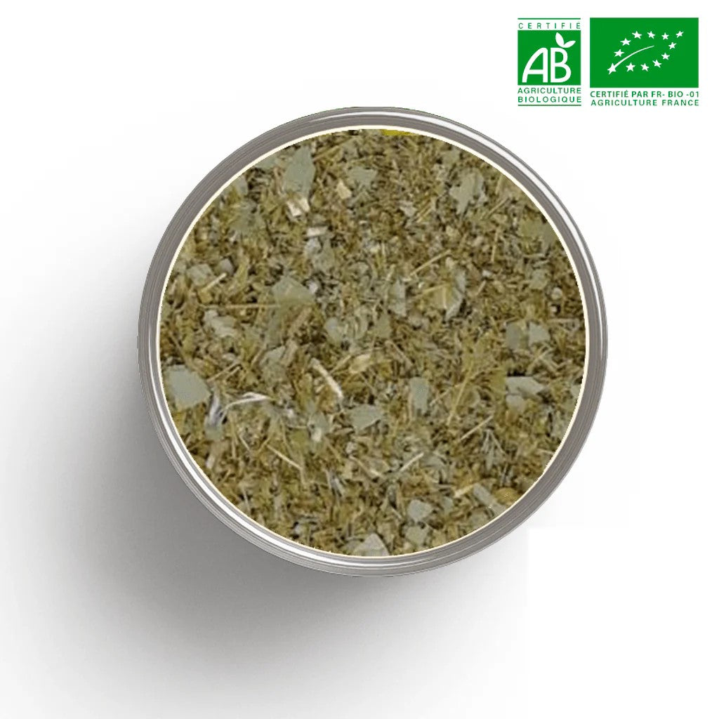 🌿 Tisane Ma Respiration – BIO - Vrac 50 gr