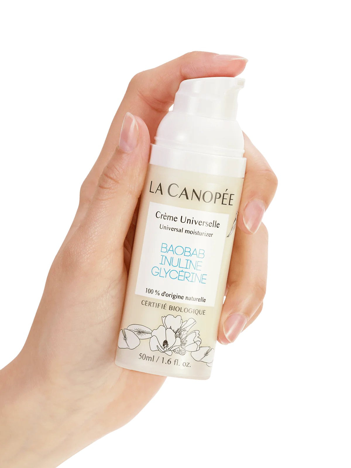 La Crème Universelle - La Canopée
