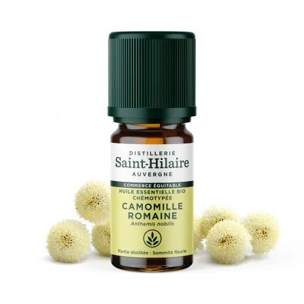 Huile Essentielle de Camomille Romaine BIO